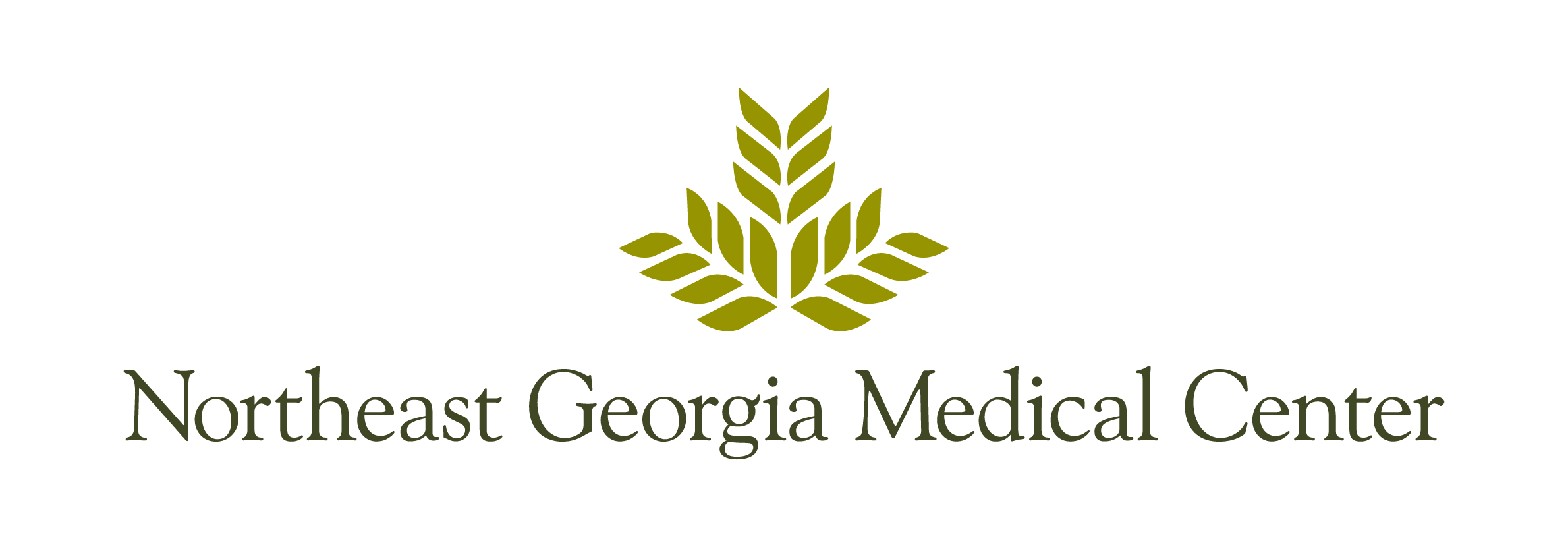 Northeast Georgia Medical Center